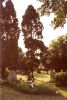 View across graveyard, looking NNW from NW corner of All Saints’ Church, Orpington