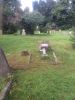 Grave stones of John & Florence CULBERTSON, Arthur CULBERTSON & Christopher CULBERTSON damaged by falling tree.