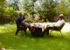 1975 Simonne & Herbert Hall having afternoon tea in the back garden of Hollis, Fairview Road, Headley Down, Hampshire