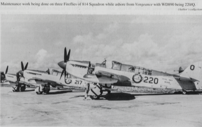  Maintenance work on Fireflies of 814 Squadron. Fireflies 217 & 220 were flown by John Murray Culbertson 